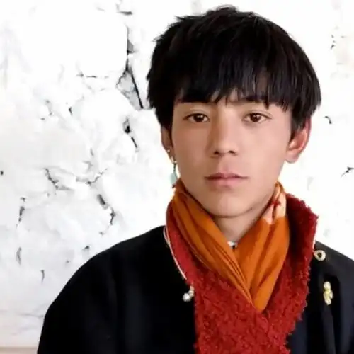 丁真是不是剪头发了有点像锅盖头