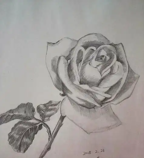 怎样画素描画初学者初学者素描画怎么画