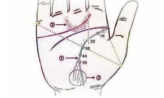 分叉的生命线代表什么不一定不吉利
