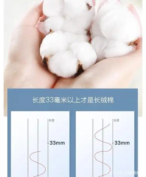 什么是长绒棉?