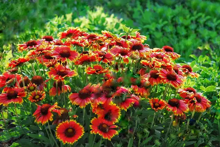 双节同庆 鱼梁美景 祝福祖国