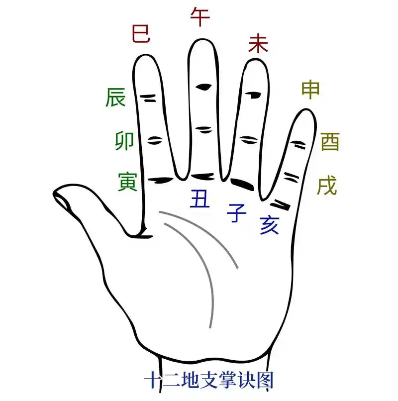 江阳君:快速记忆十二地支五行属性生肖的方法_因为_季节_农历