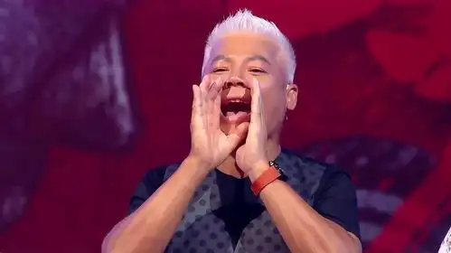 蒙面歌王中国版第1季第2期