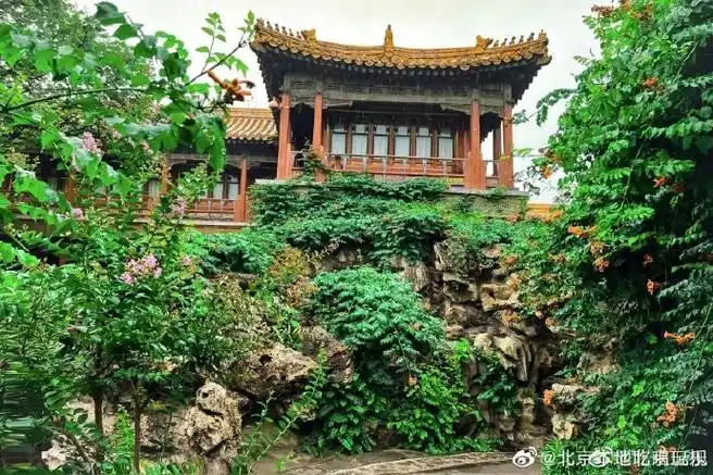 绿荫中的故宫御花园这么美#故宫的御花园位于紫禁城中轴线上,明闯称