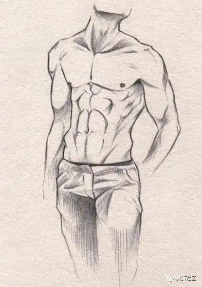 绘画素材69大饱眼福一大波男生的腹肌绘画参考