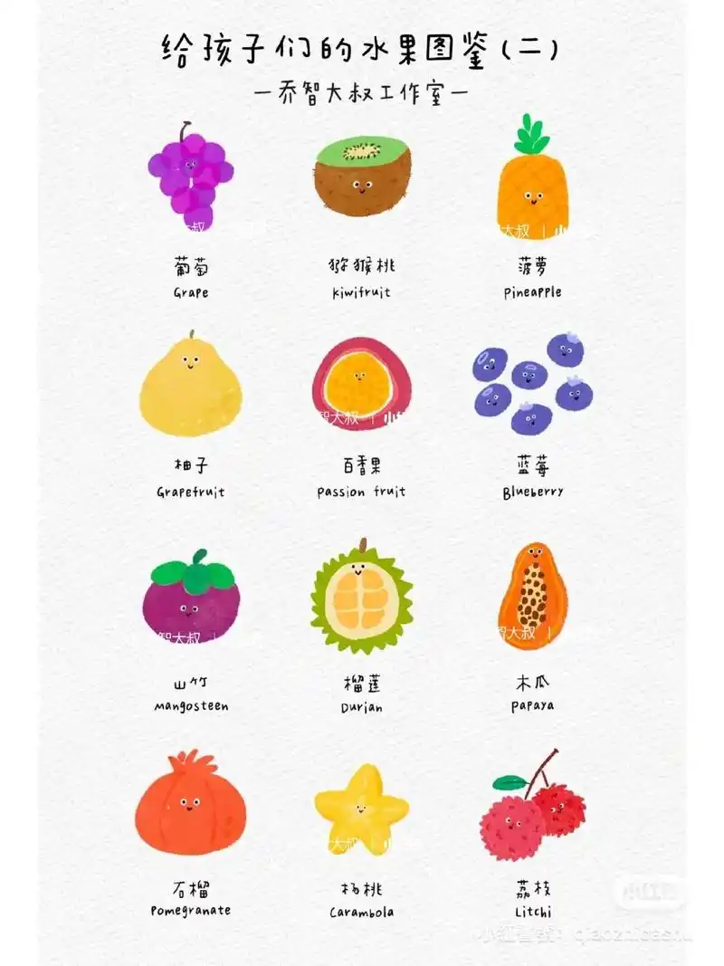 水果图鉴26615.