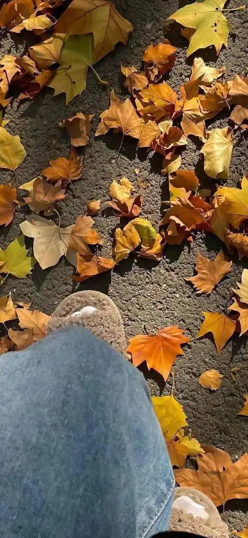 壁纸| 个性高清手机锁屏壁纸