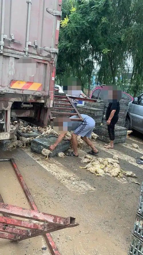 现场散落"一地鸡毛"