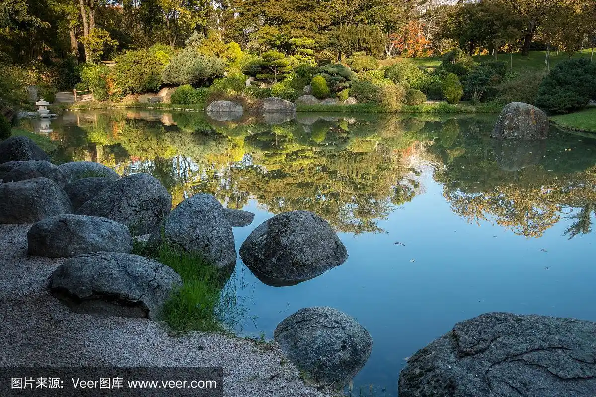 池塘里的大石头
