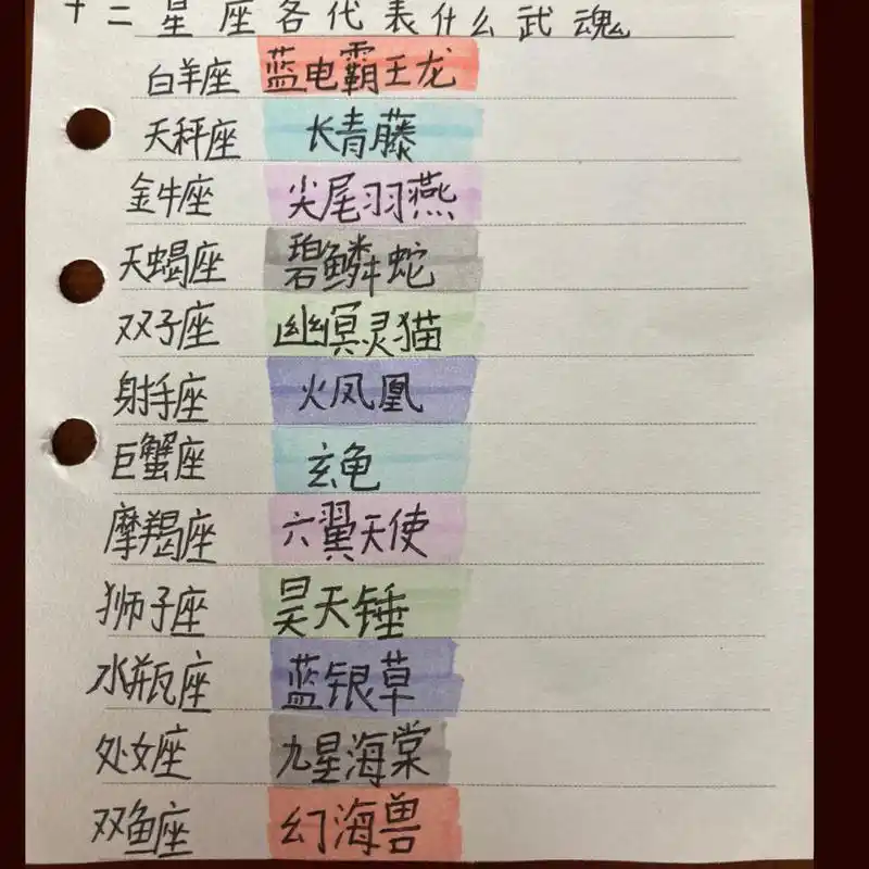 十二星座代表的武魂