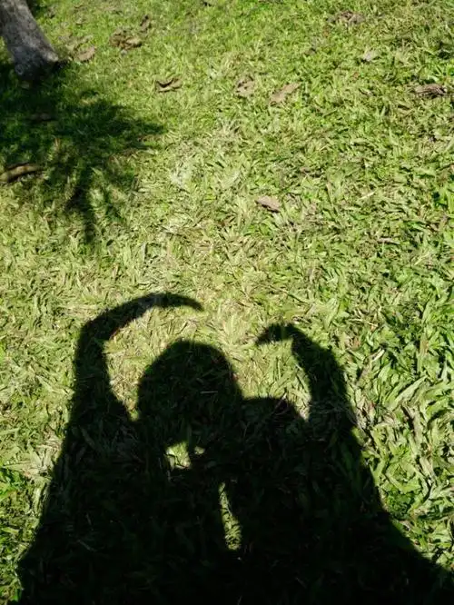 彩云之南的二次旅程