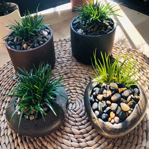 天然鹅卵鹅卵石石头花盆多肉种植铜钱菖蒲创意个性花盆