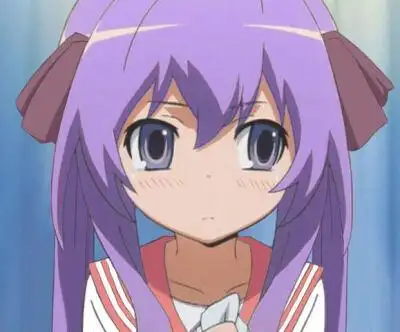 终结的炽天使紫毛