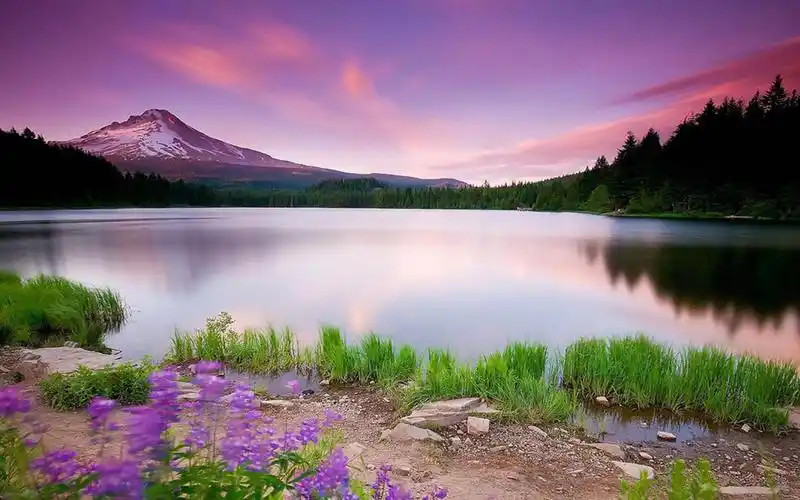 唯美护眼自然风光图片电脑壁纸高清大图预览1920x1200_风景壁纸下载_