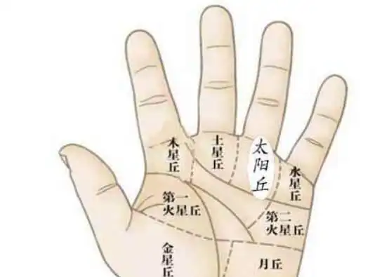 手相大富大贵是什么概念中指较长大富大贵