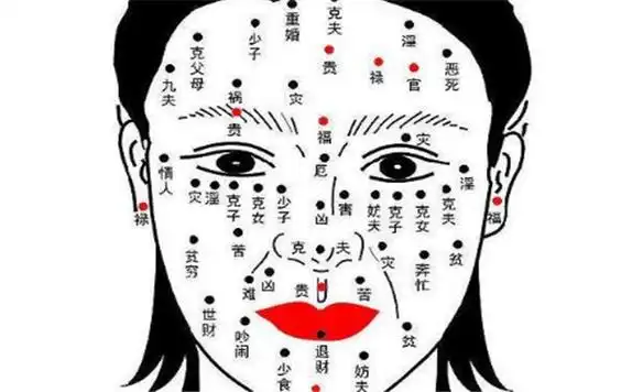 图片来源网络,如有侵权请联系站长删除眉毛尾部是面相学上面的夫妻宫