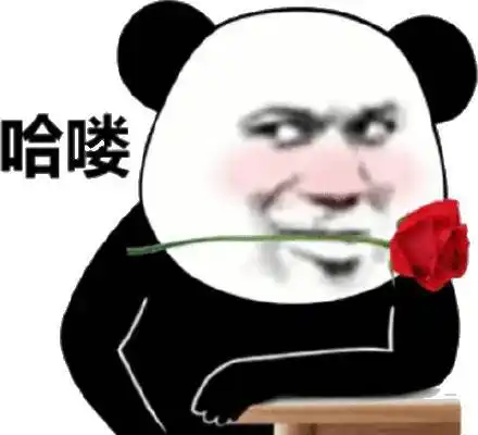 哈喽,(熊猫头撩汉撩妹表情包)_撩妹_撩汉_熊猫表情