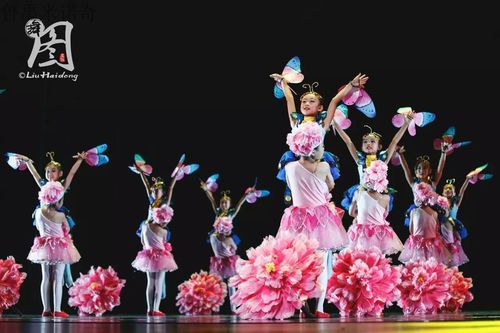 还我一片蓝天演出服六一儿童节舞蹈蝴蝶粉红色纱裙表演儿童演出服