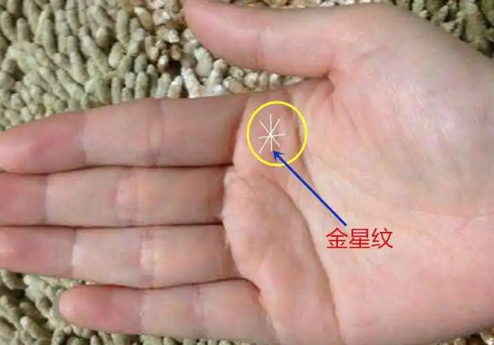 金星之女人大富大贵的手相_达一风水网