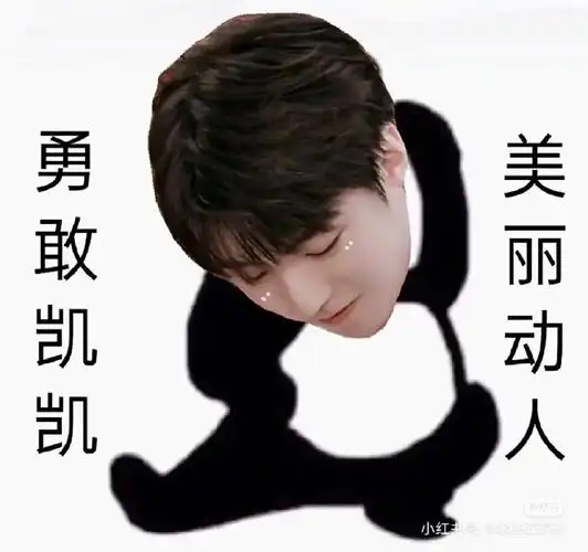 关于tfboys的表情包