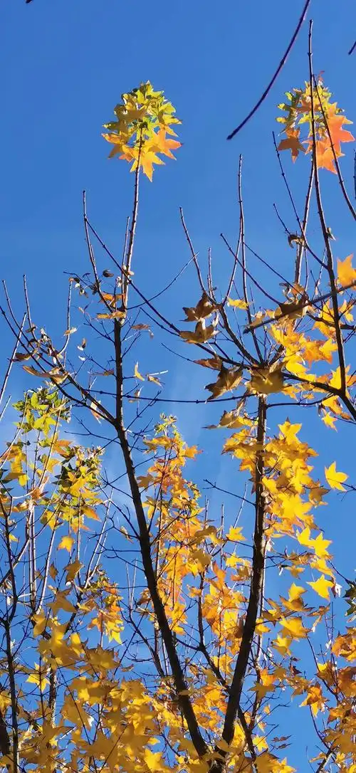 秋天风景自然美!