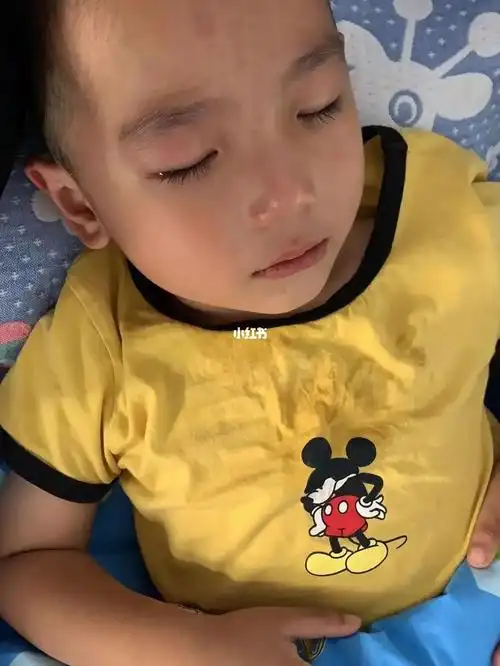 小鸡宝宝上幼儿园啦