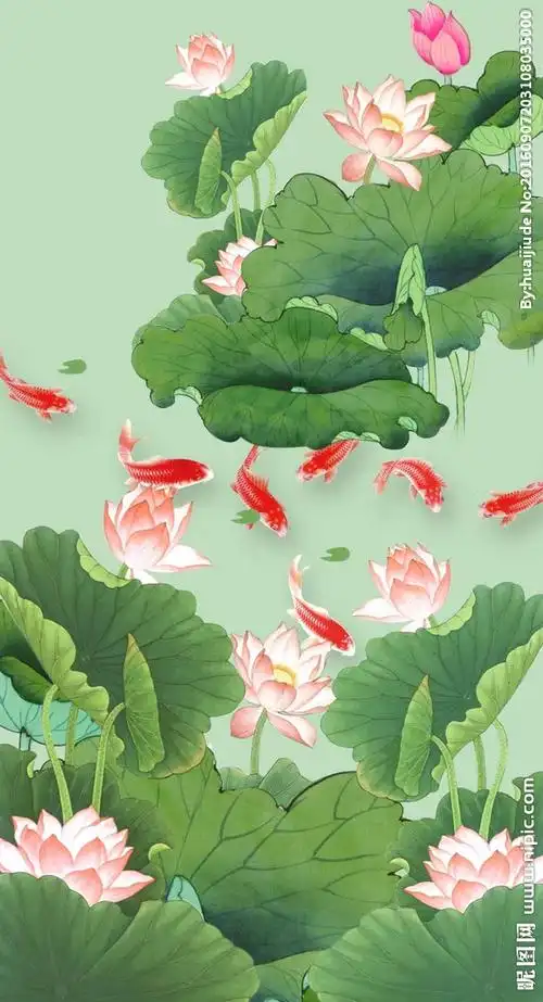 荷花鲤鱼图图片