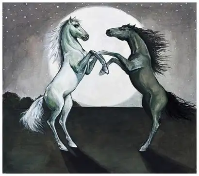 马和马-老约翰绘本馆-沈阳浑南区