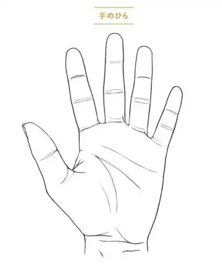 画手掌的诀窍