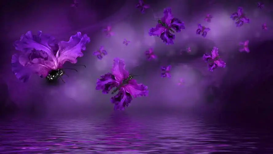 壁纸 紫色翅膀蝴蝶,花瓣,创意 3840x2160 uhd 4k 高清壁纸, 图片