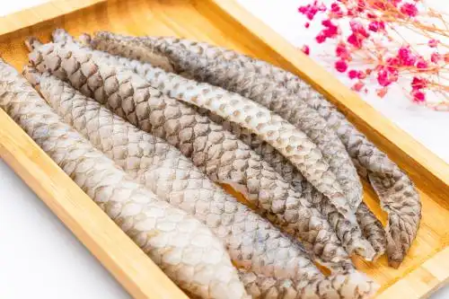 白色背景罗非鱼皮 鱼皮