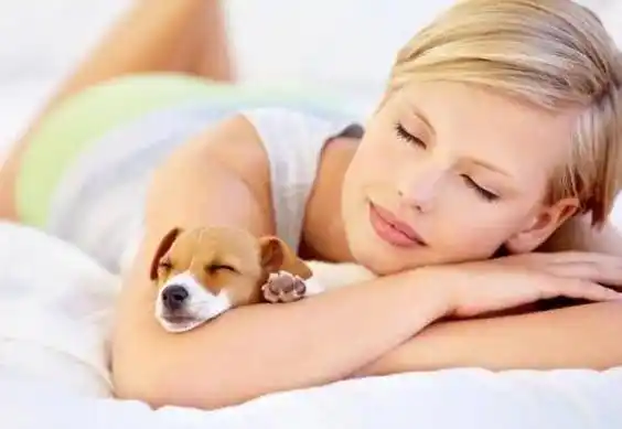 4.选择一个安静舒适的环境吵闹和刺激性的环境容易影响人的睡眠质量.