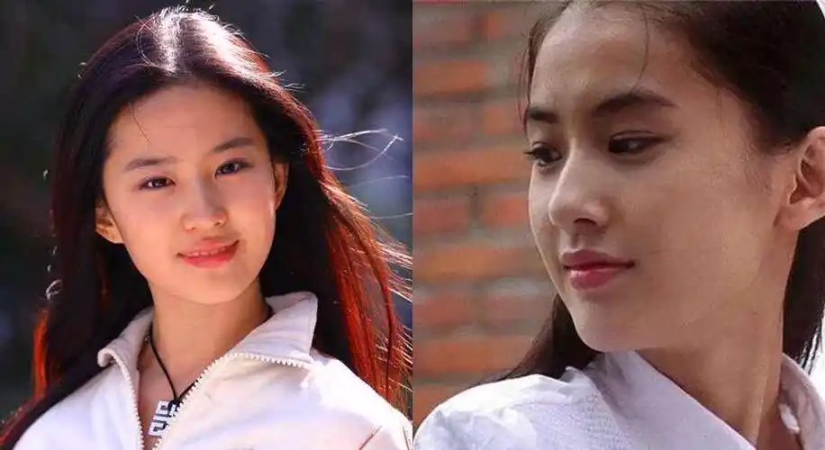 2. 刘亦菲vs黄圣依!