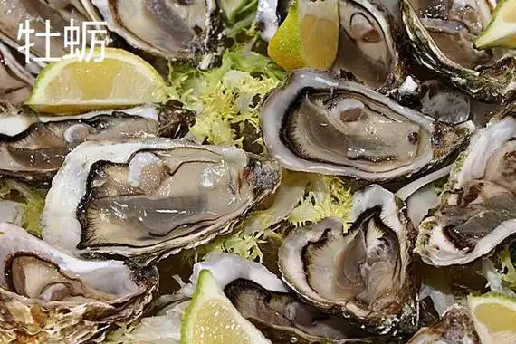 牡蛎和生蚝的区别是什么牡蛎是生蚝吗