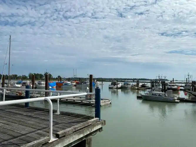 加拿大bc省列治文斯蒂芬渔人码头