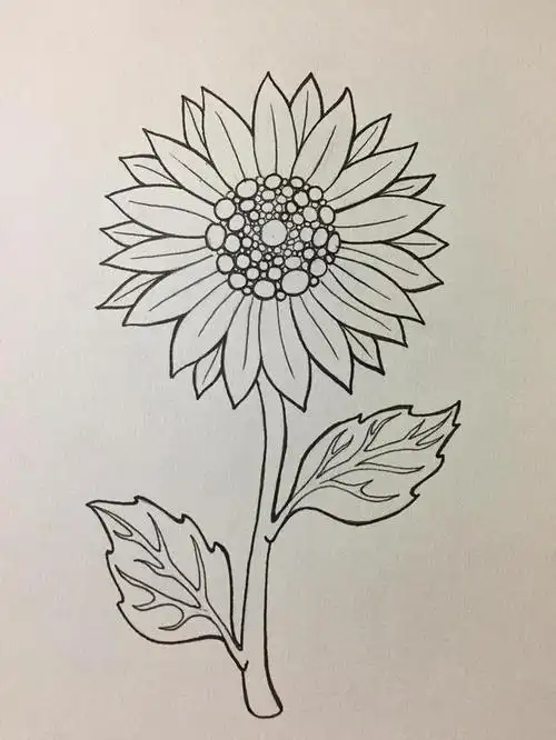 零基础学画画|简笔画练习"向日葵"(马克笔)