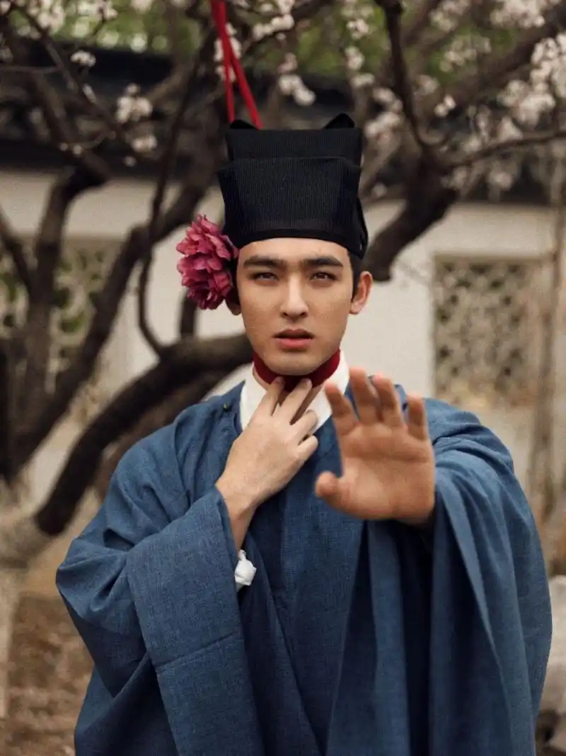 我不是猪刚鬣也不是西门庆|宋代男子爱簪花 之前和  一起创作了一组