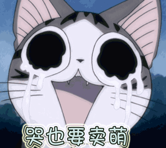 哭也要卖萌甜甜起司猫gif动图_动态图_表情包下载_soogif