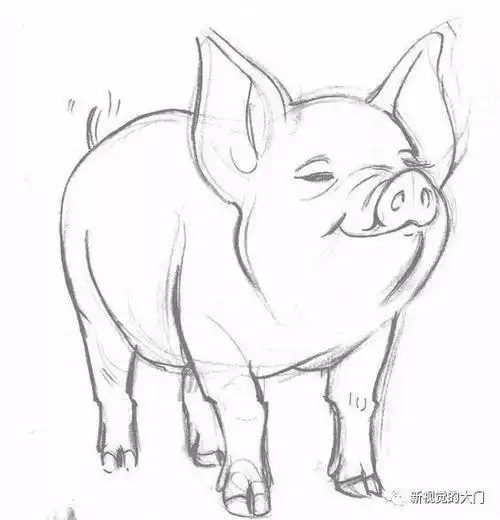 画z043动漫小动物素描速写儿童卡通简笔画插画手帐日记线稿素材简笔画