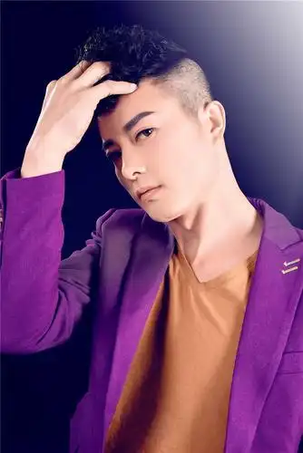 中国内地男歌手关东