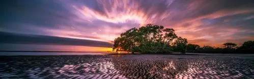 树,岸,水,日落 壁纸 - 3840x1200 双屏全景