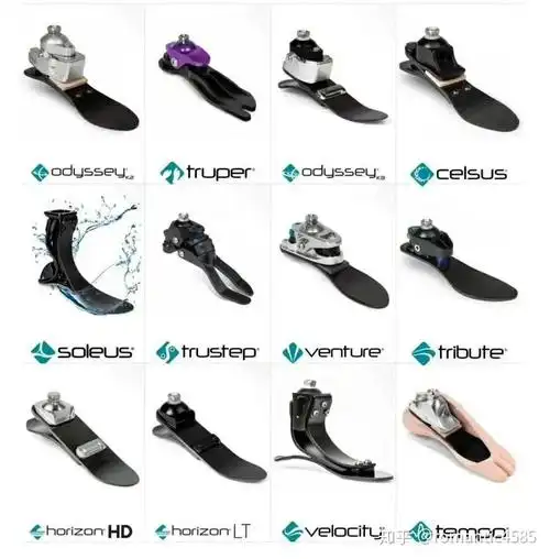 假肢配件介绍与更换知识汇编20200910