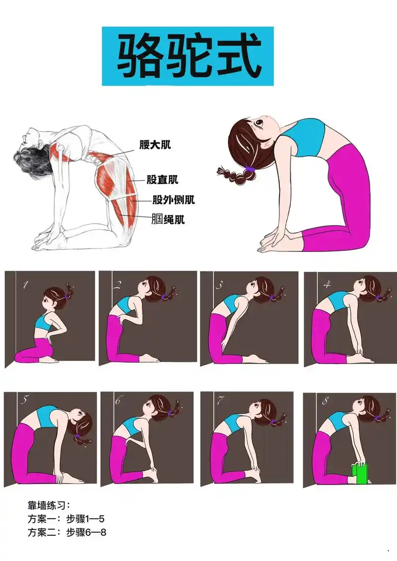 瑜伽骆驼式插画讲解.此系列持续更新中#瑜伽 #瑜伽体式分享  - 抖音