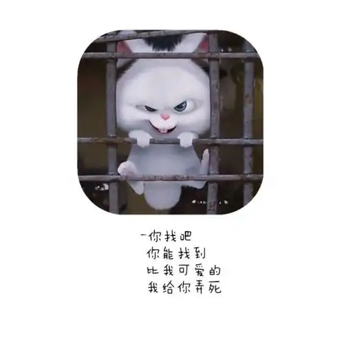 可爱最高级#说说配图(文字 图片)/背景图/玄机不过如此/要单张的私发