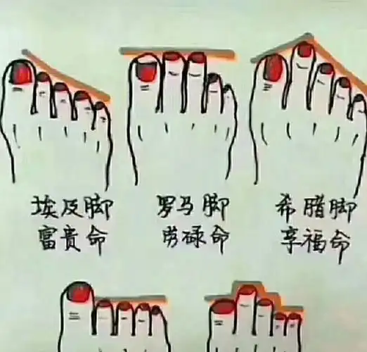 劳碌命二三脚趾头比较长,而且一样长,一辈子都在忙碌,天生的劳碌命,有