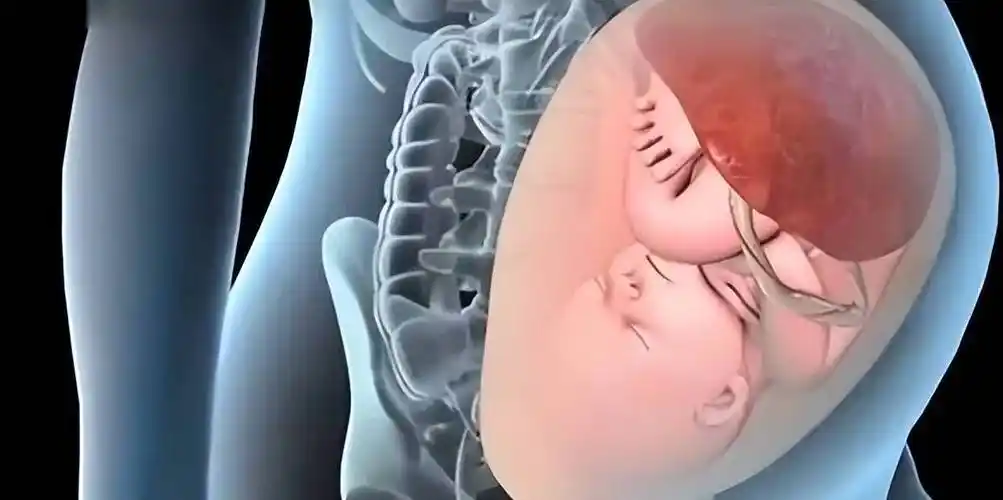 一文读懂"入盆",快要生产的准妈们看过来_胎儿_情况_时间