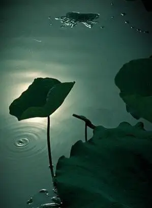 心无杂念心静如水图片