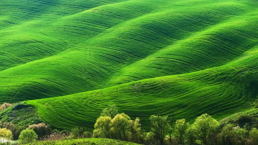 电脑桌面图片唯美(82张护眼电脑桌面壁纸)_环球信息网