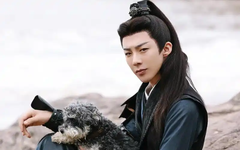 就是看刘宇宁的帅气