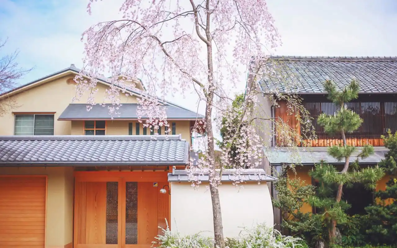 日本樱花海洋美景图片电脑桌面壁纸高清大图预览1280×800_风景壁纸